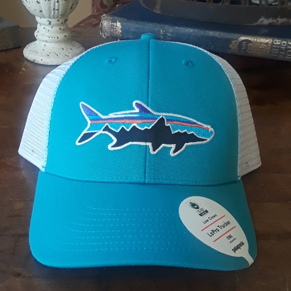 NWT Patagonia Trucker Hat
